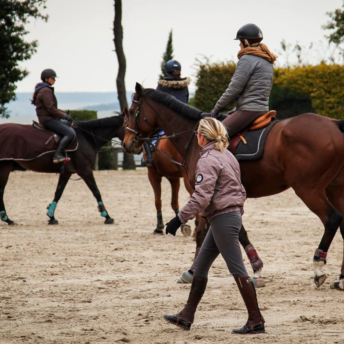 aide établissement équestre : 120 €/cheval