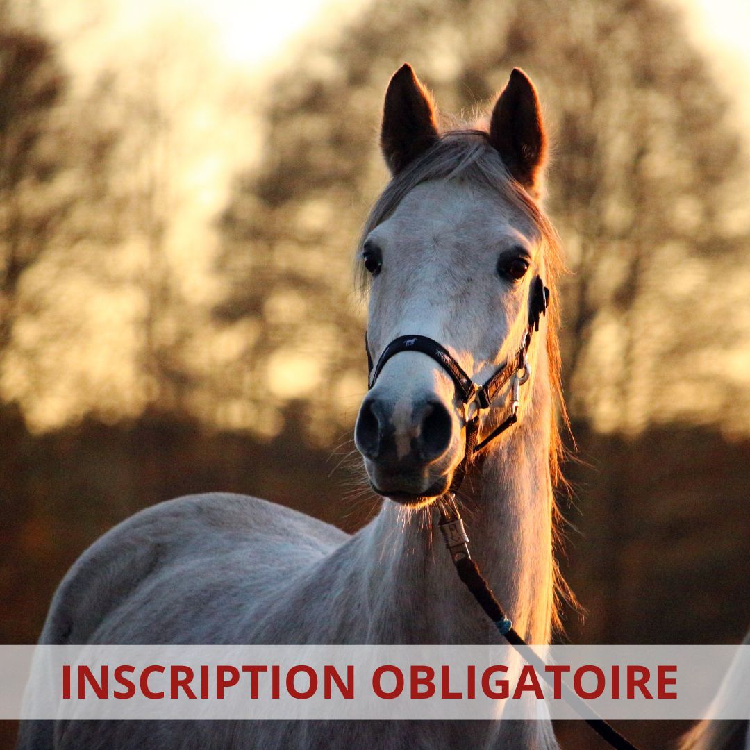 Temps d'échange PAC (Politique Agricole Commune) à Cheval Passion le 19 Janvier à 15H