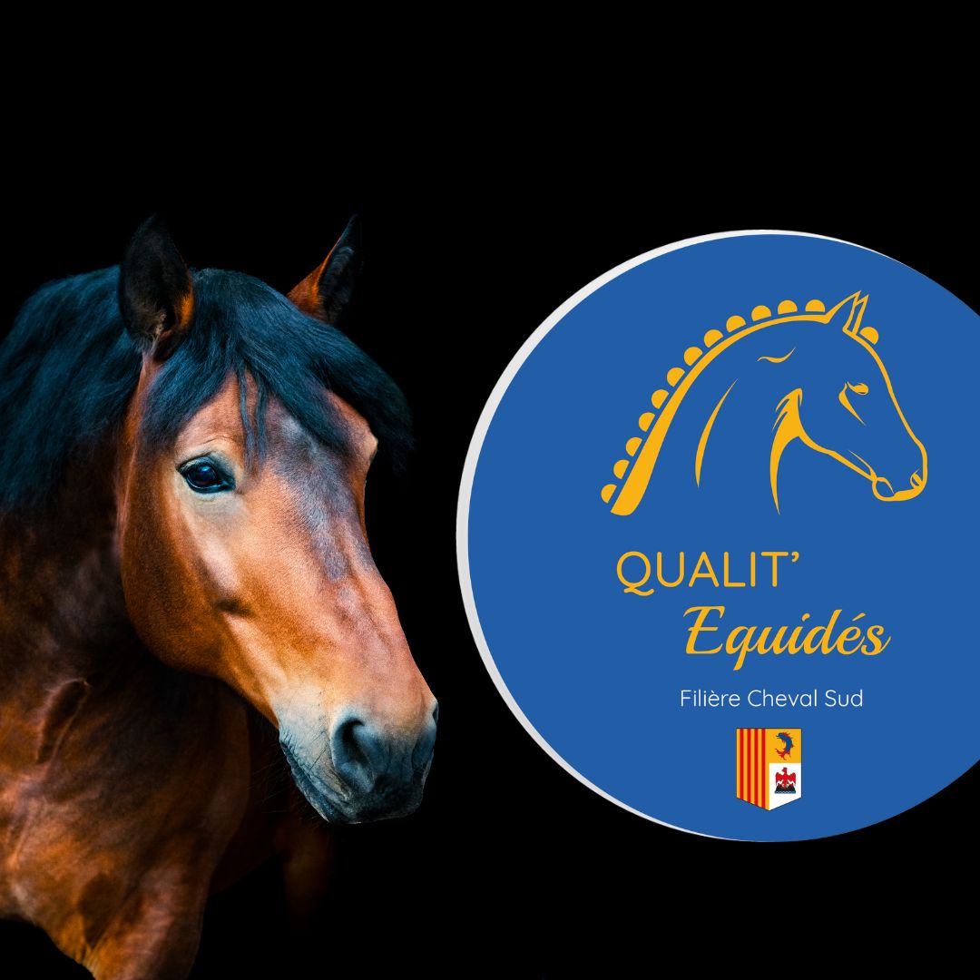 Nouvelles Dates de Formation pour Obtenir le Label Qualit'Equidés