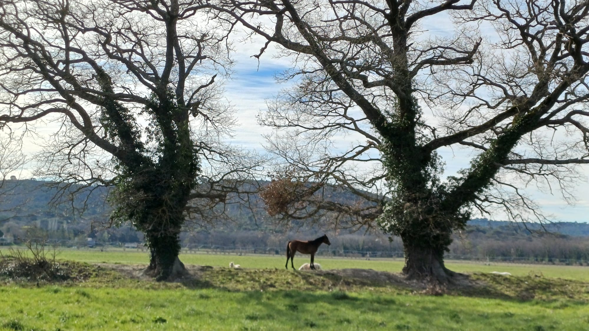 Prélèvement de sols aux écuries d'Aurabelle dans le cadre du projet 4 pour 1000 avec l'IRA2E