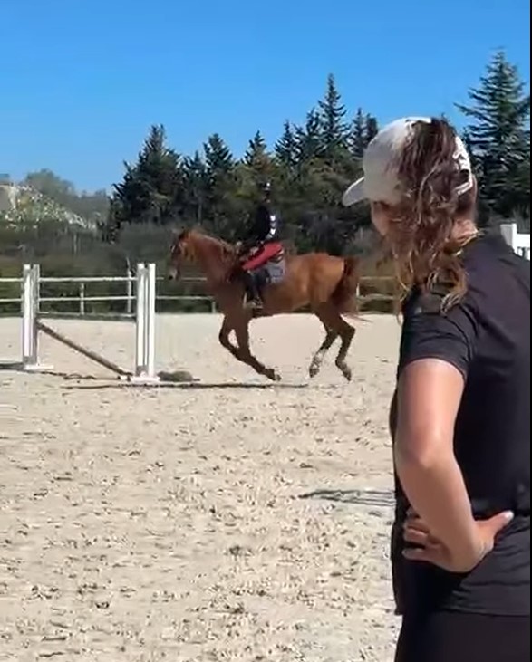 Formation améliorer son équitation en saut d'obstacle avec Sylvain Poncet