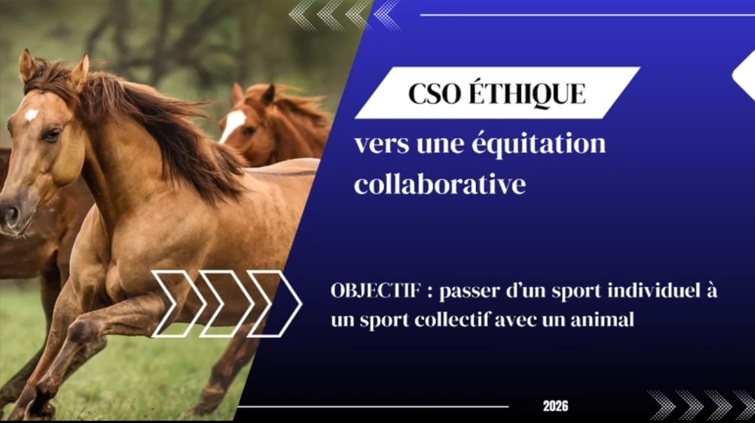 Formation : Améliorer l'équitation en saut d'obstacle : équilibre entre bien-être et performance